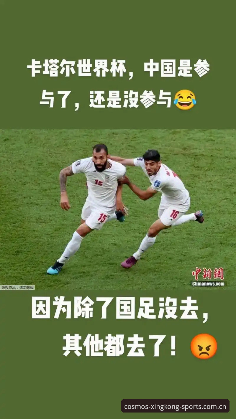 资深用户分享：世界杯观赛签证危机下的实战应对策略