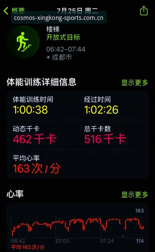星空体育最新动态：数据功能全面升级，新手用户实测体验报告